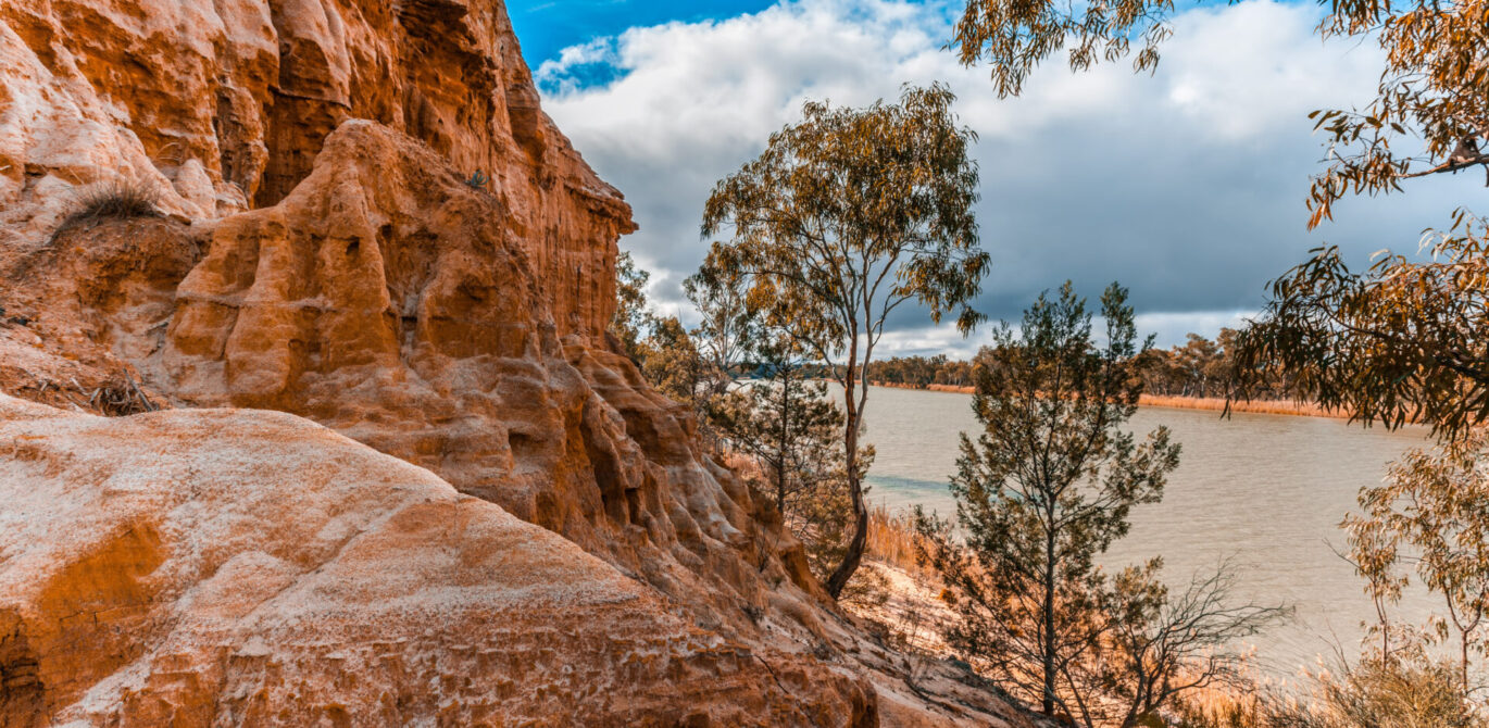 Elders Riverland: Local Knowledge, Real Connections