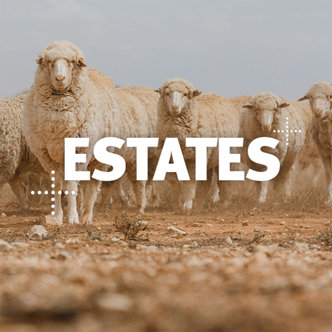 Estates cover banner